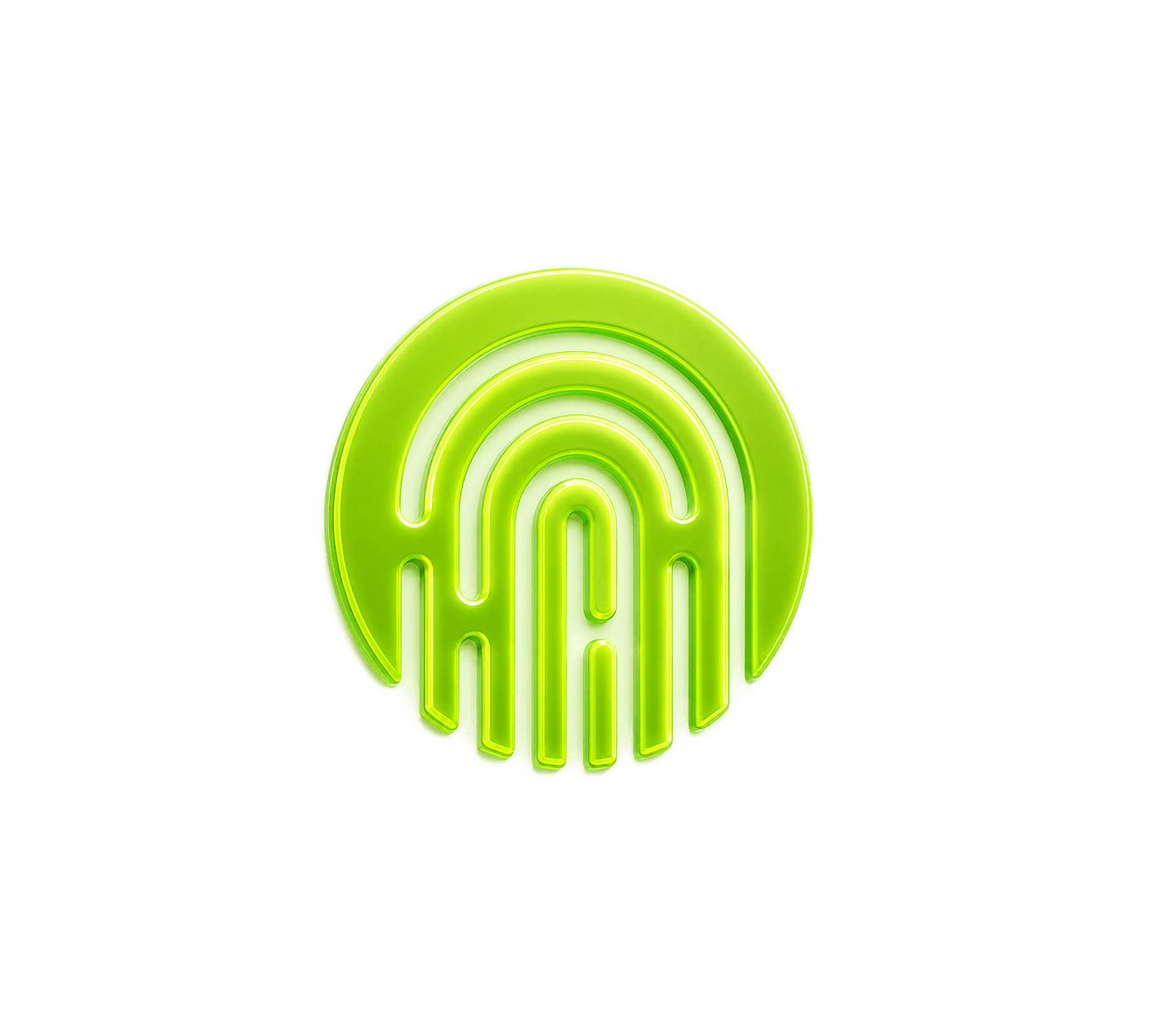 Biometrics Fingerprint Security Interface
